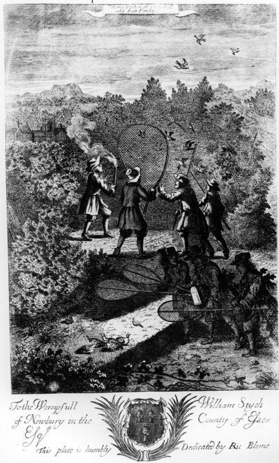 Taking Birds with a Net, from 